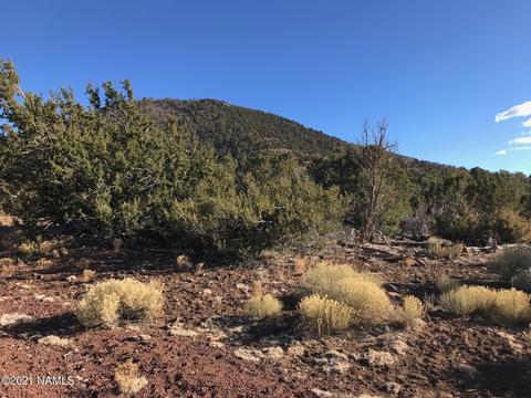 2846 E Overlook Dr, Williams, AZ 86046 photo 3