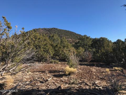 2846 E Overlook Dr, Williams, AZ 86046 photo 4