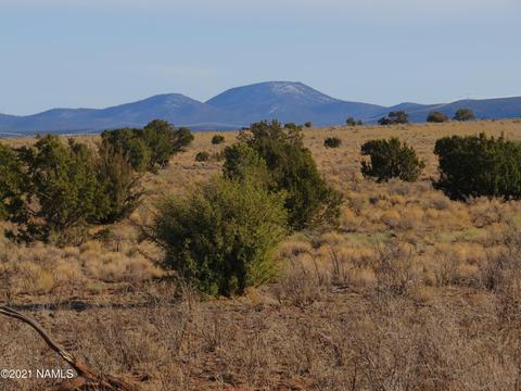 1880 E Pine Rd, Williams, AZ 86046 photo 7