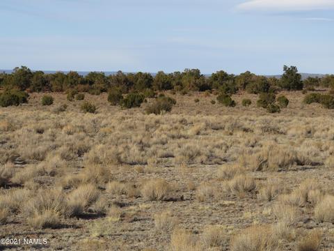 1880 E Pine Rd, Williams, AZ 86046 photo 11