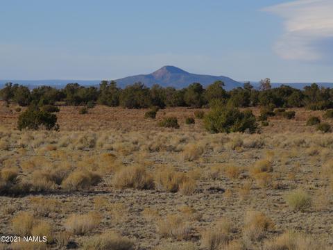 1880 E Pine Rd, Williams, AZ 86046 photo 9