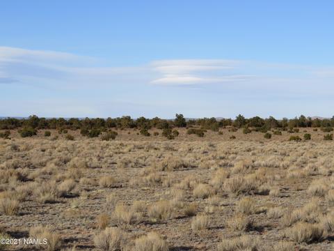 1880 E Pine Rd, Williams, AZ 86046 photo 12