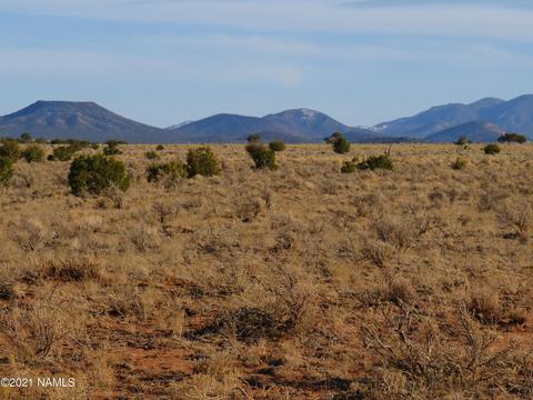 1880 E Pine Rd, Williams, AZ 86046 photo 8