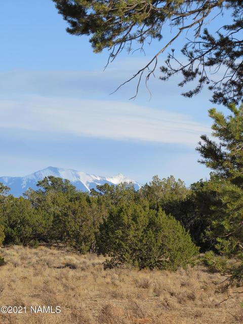 1880 E Pine Rd, Williams, AZ 86046 photo 2