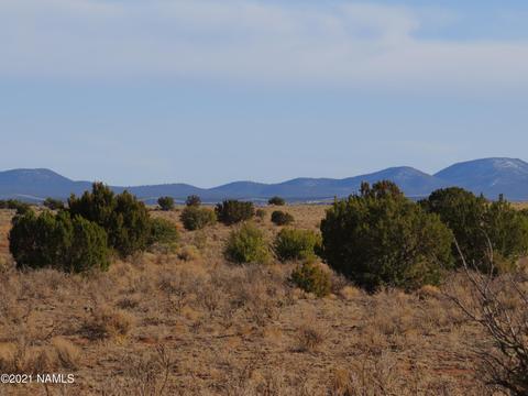 1880 E Pine Rd, Williams, AZ 86046 photo 5