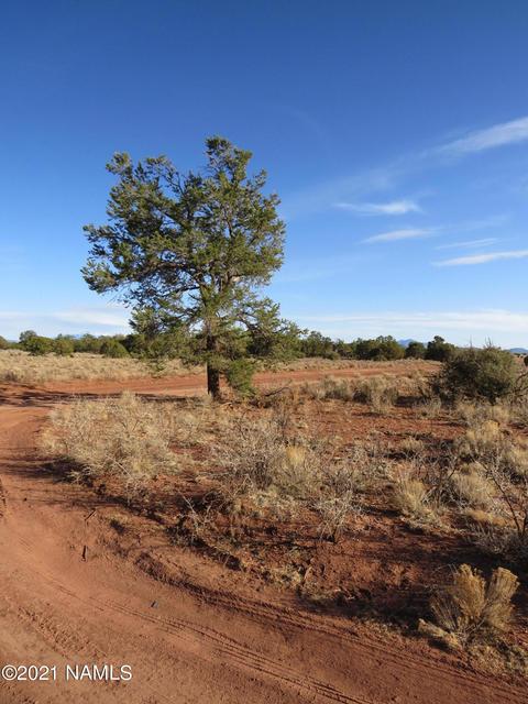 1880 E Pine Rd, Williams, AZ 86046 photo 3