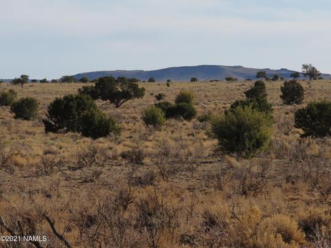 1880 E Pine Rd, Williams, AZ 86046 photo 4