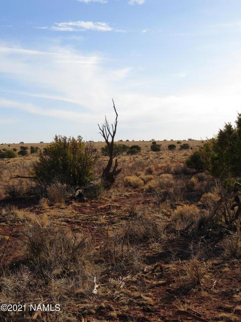1880 E Pine Rd, Williams, AZ 86046 photo 6