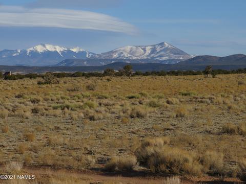 1880 E Pine Rd, Williams, AZ 86046 photo 10