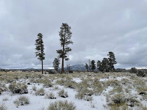 2347 E Spring Valley Rd, Williams, AZ 86046 photo 11