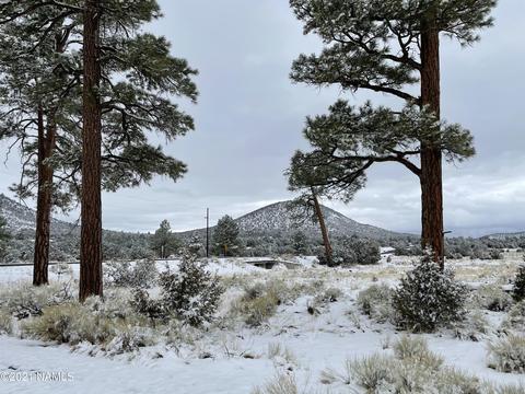 2347 E Spring Valley Rd, Williams, AZ 86046 photo 4