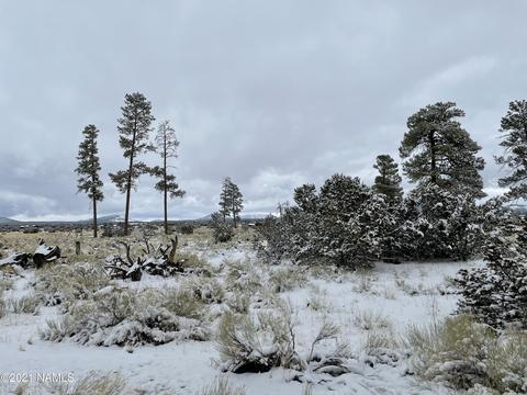 2347 E Spring Valley Rd, Williams, AZ 86046 photo 6