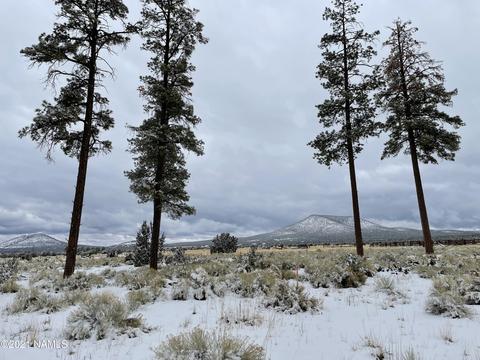 2347 E Spring Valley Rd, Williams, AZ 86046 photo 3