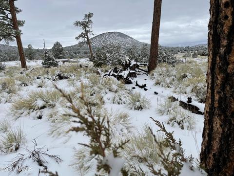 2347 E Spring Valley Rd, Williams, AZ 86046 photo 9