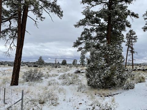2347 E Spring Valley Rd, Williams, AZ 86046 photo 5