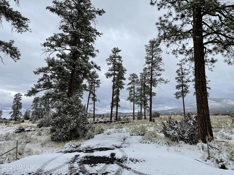 2347 E Spring Valley Rd, Williams, AZ 86046 photo 1