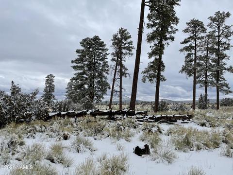 2347 E Spring Valley Rd, Williams, AZ 86046 photo 8