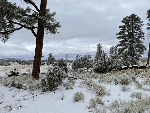 2347 E Spring Valley Rd, Williams, AZ 86046 photo 7