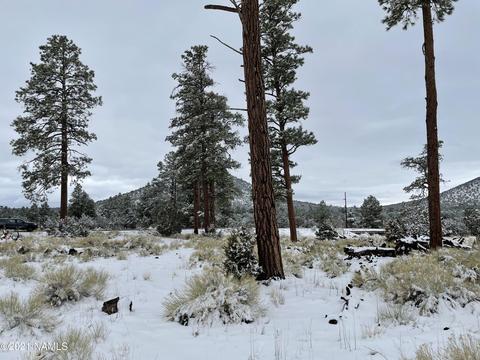 2347 E Spring Valley Rd, Williams, AZ 86046 photo 12