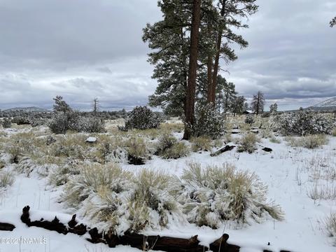2347 E Spring Valley Rd, Williams, AZ 86046 photo 10