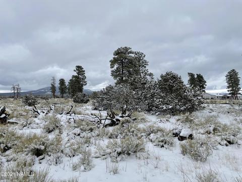 2347 E Spring Valley Rd, Williams, AZ 86046 photo 13
