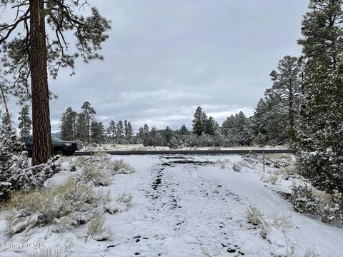2347 E Spring Valley Rd, Williams, AZ 86046 photo 14