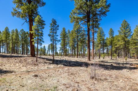763 Celilo, Flagstaff, AZ 86005 photo 33