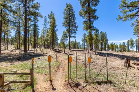 763 Celilo, Flagstaff, AZ 86005 photo 31