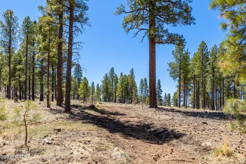763 Celilo, Flagstaff, AZ 86005 photo 34