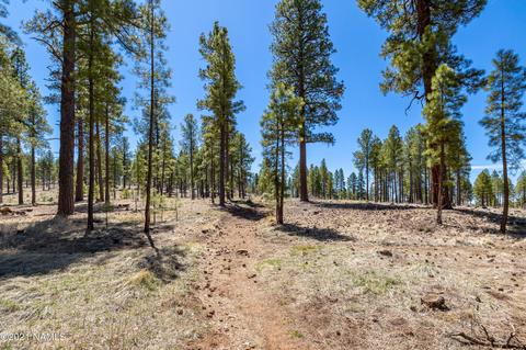 763 Celilo, Flagstaff, AZ 86005 photo 32