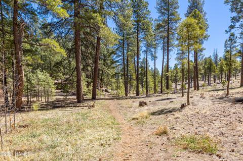 763 Celilo, Flagstaff, AZ 86005 photo 35