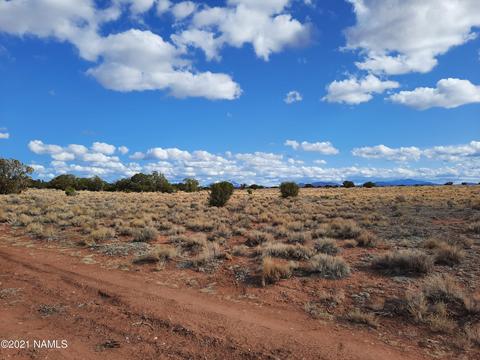 3349 E Valle Rd, Williams, AZ 86046 photo 3