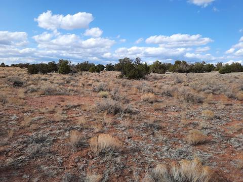 3349 E Valle Rd, Williams, AZ 86046 photo 2
