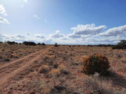 3349 E Valle Rd, Williams, AZ 86046 photo 4
