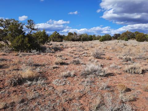 3349 E Valle Rd, Williams, AZ 86046 photo 1