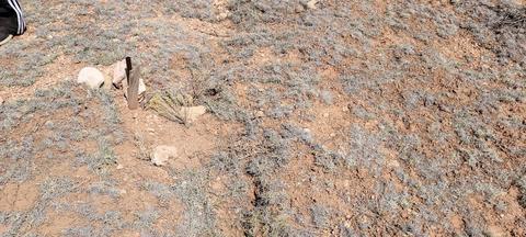 3285 E Valle Rd, Williams, AZ 86046 photo 4