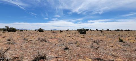 3285 E Valle Rd, Williams, AZ 86046 photo 3