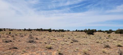 3285 E Valle Rd, Williams, AZ 86046 photo 2