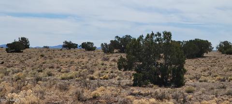3285 E Valle Rd, Williams, AZ 86046 photo 1