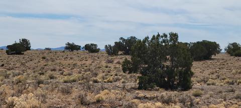 3285 E Valle Rd, Williams, AZ 86046 photo 6
