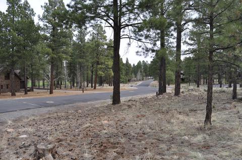 1939 E Bare Oak Loop, Flagstaff, AZ 86005 photo 10