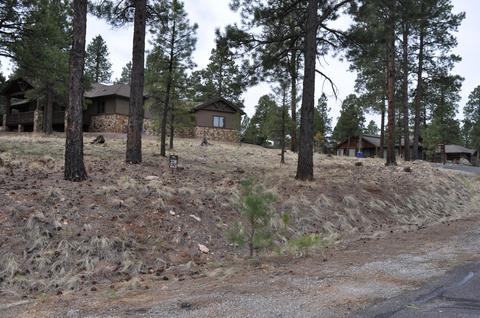 1939 E Bare Oak Loop, Flagstaff, AZ 86005 photo 4