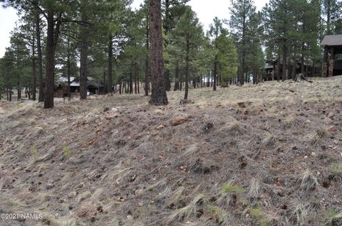 1939 E Bare Oak Loop, Flagstaff, AZ 86005 photo 2