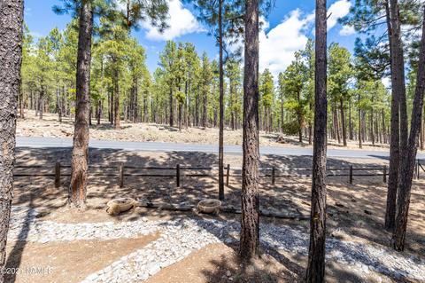 4780 W Quick Draw, Flagstaff, AZ 86005 photo 13