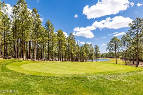 4780 W Quick Draw, Flagstaff, AZ 86005 photo 6