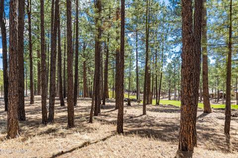 4780 W Quick Draw, Flagstaff, AZ 86005 photo 11