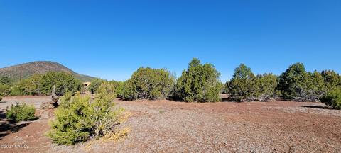 2145 E Clear Point Way, Williams, AZ 86046 photo 14