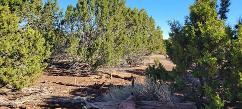 2145 E Clear Point Way, Williams, AZ 86046 photo 2