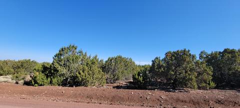 2145 E Clear Point Way, Williams, AZ 86046 photo 3