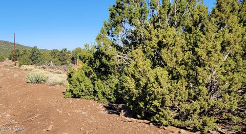 2145 E Clear Point Way, Williams, AZ 86046 photo 1